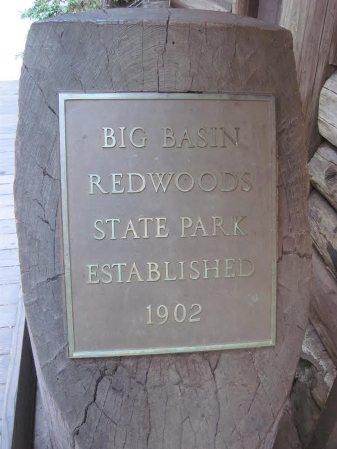 big basin redwoods state park hike.jpg