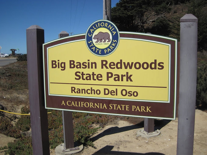 big basin redwoods state park hike_0037.jpg