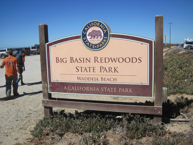 big basin redwoods state park hike_0038.jpg